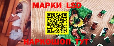 сатива Новокубанск