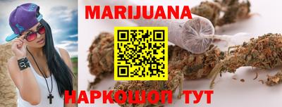 сатива Новокубанск