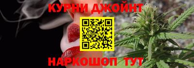 сатива Новокубанск