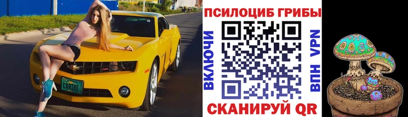 Псилоцибиновые грибы прущие грибы  наркошоп  omg ссылка  Тутаев 