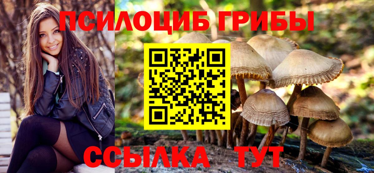Галлюциногенные грибы Psilocybe  Вход с VPN  Тутаев 