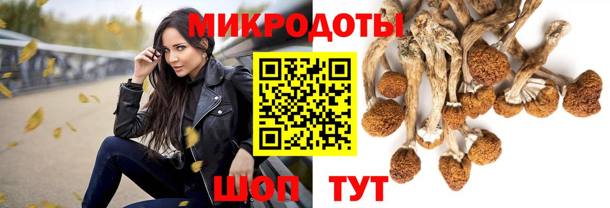 Галлюциногенные грибы GOLDEN TEACHER Тутаев